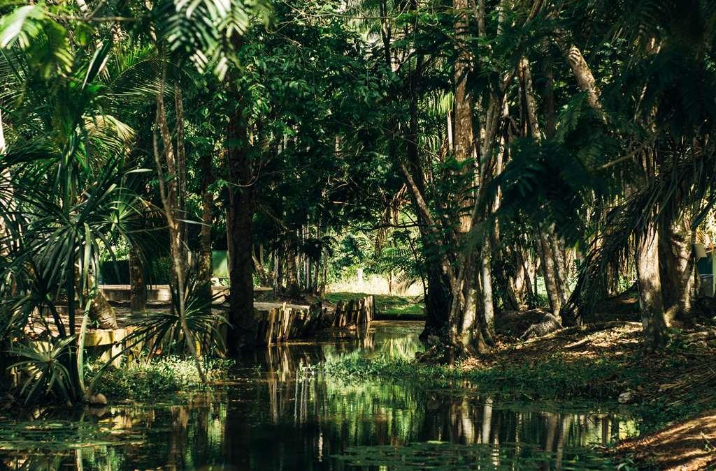 Overbridge River Resort Paramaribo Ngoại thất bức ảnh